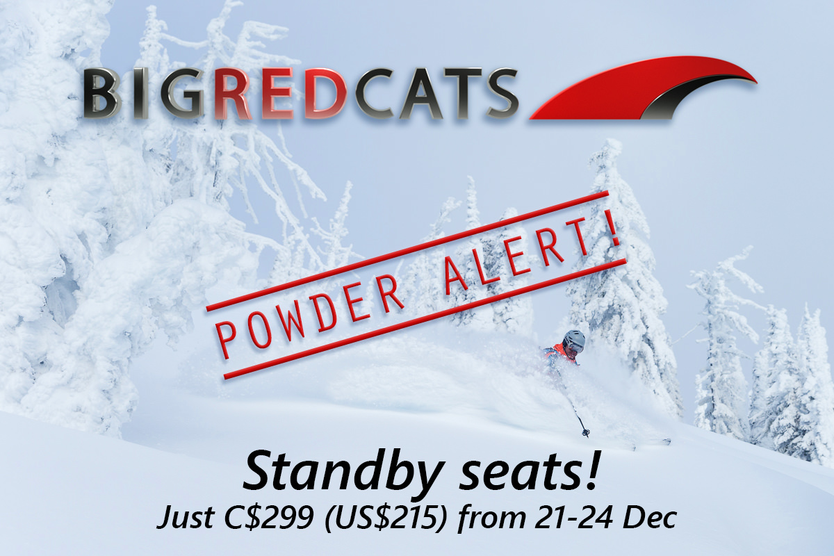 BIG RED CATS - Powder Alert!