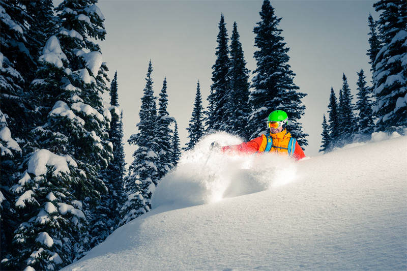 Give the Gift of Deep, Blower Pow at White Grizzly Catskiing
